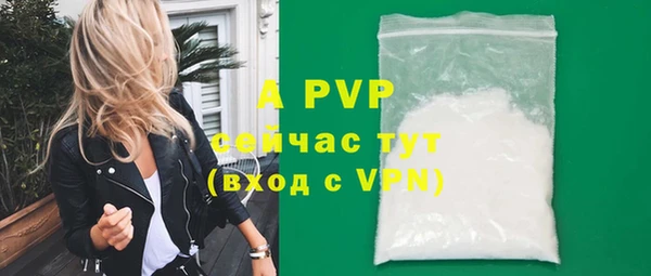 сатива Заволжье
