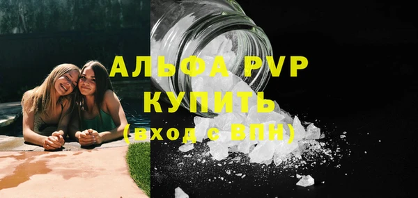 сатива Заволжье